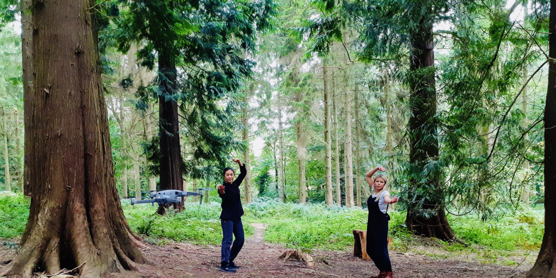 Qigong in Lineover Wood