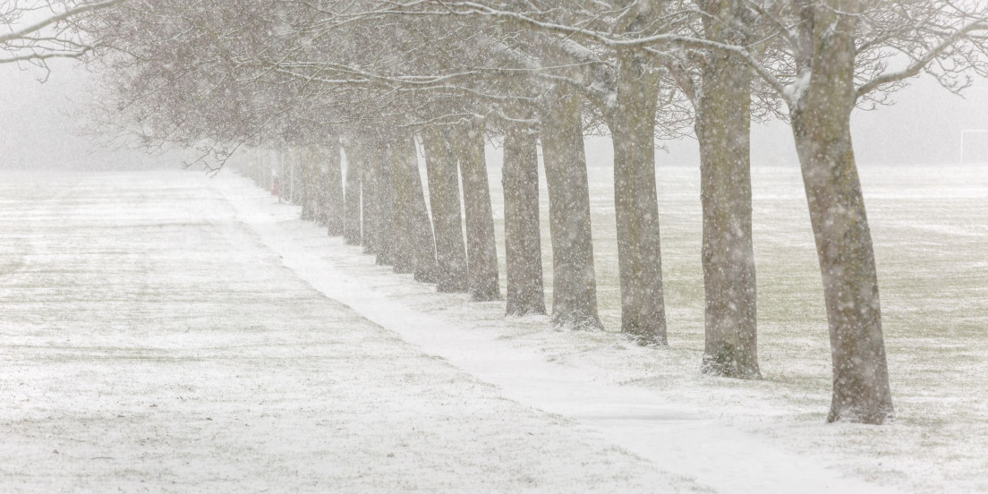 Winter Walks