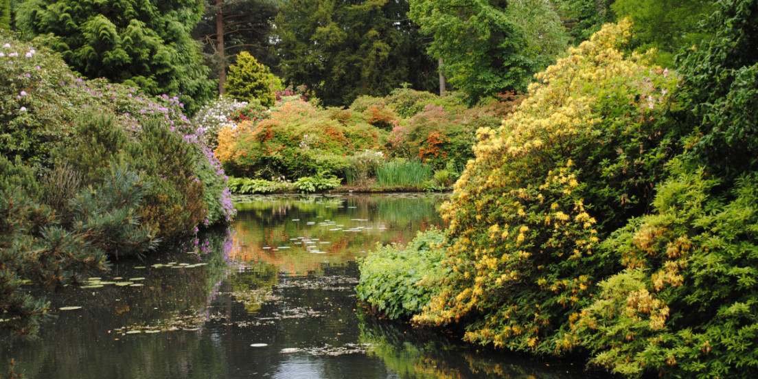 tatton park cheshire golden triangle